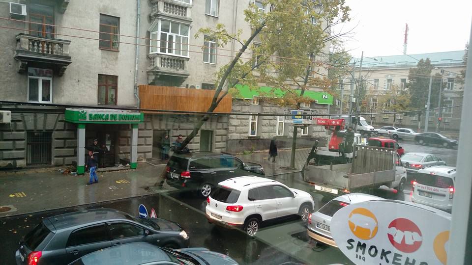 Un copac stă să cadă pe strada Vasile Alecsandri, dar s-a „oprit” într-o Toyota Land Cruiser