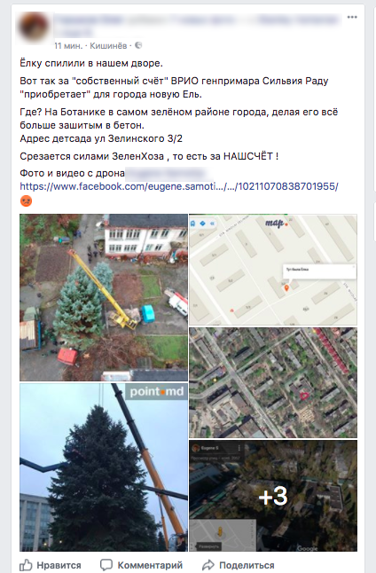 Житель Кишинева возмущен тем, что елку для площади срубили в его дворе