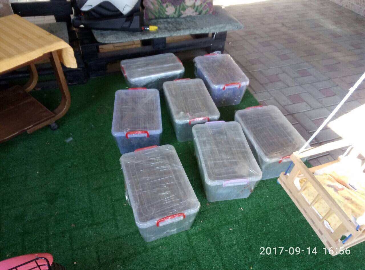 Un alt funcționar public implicat în circulația ilegală de droguri în proporții deosebit de mari