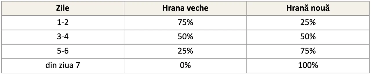 Ryjik.md: Cum treci câinele la o hrană nouă și când e mai bine să nu o faci