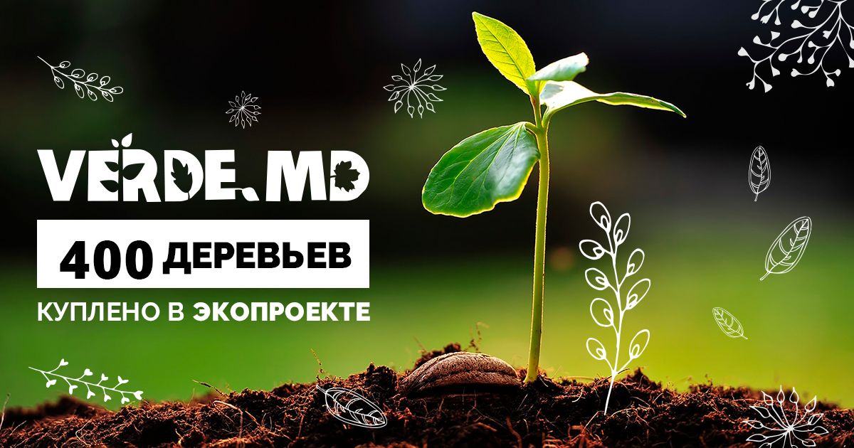 400 деревьев куплено в экопроекте Verde.md