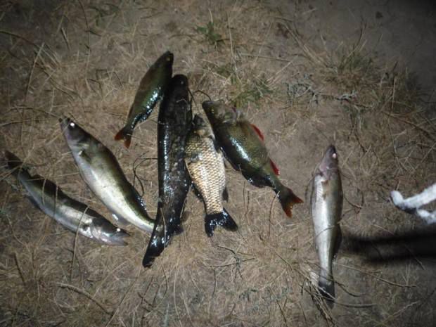 Plase monifilament, care sunt interzise la pescuit, depistate pe lacul de acumulare Dubăsari