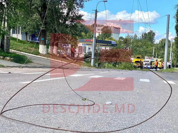 На Мунчештской нарушено движение: дерево упало на линии электропередач