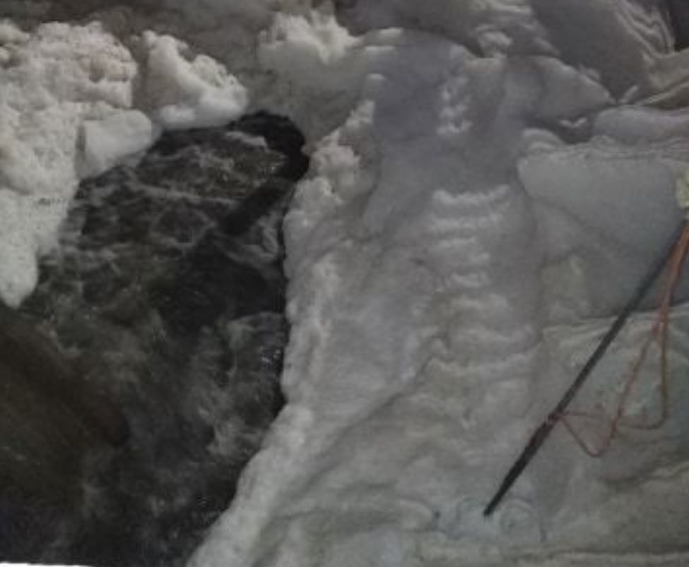 Apă-Canal: Ситуация с неприятным запахом политически срежиссирована