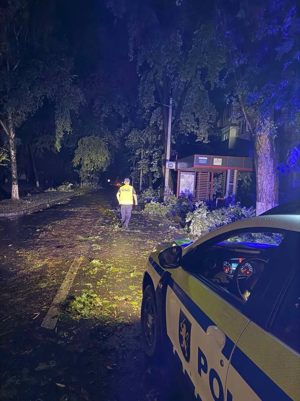 Сильный ливень в Унгенах повалил десятки деревьев и оставил дома без света