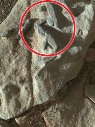 Roverul Curiosity a descoperit pe Marte structuri asemănătoare fosilelor