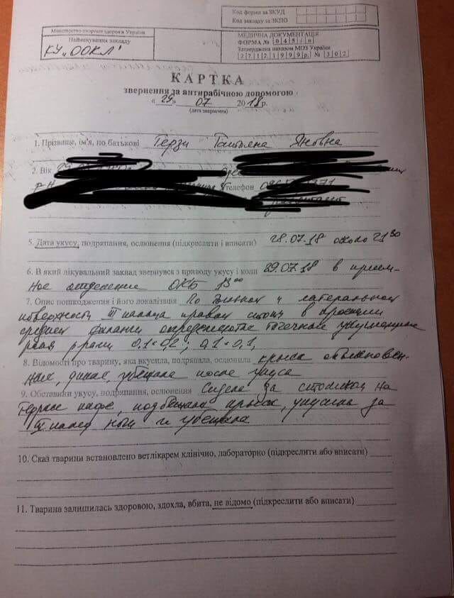В одесской пиццерии женщину укусила крыса