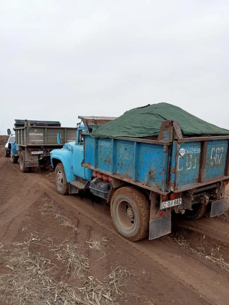 Шесть человек незаконно добывали плодородные слои почвы