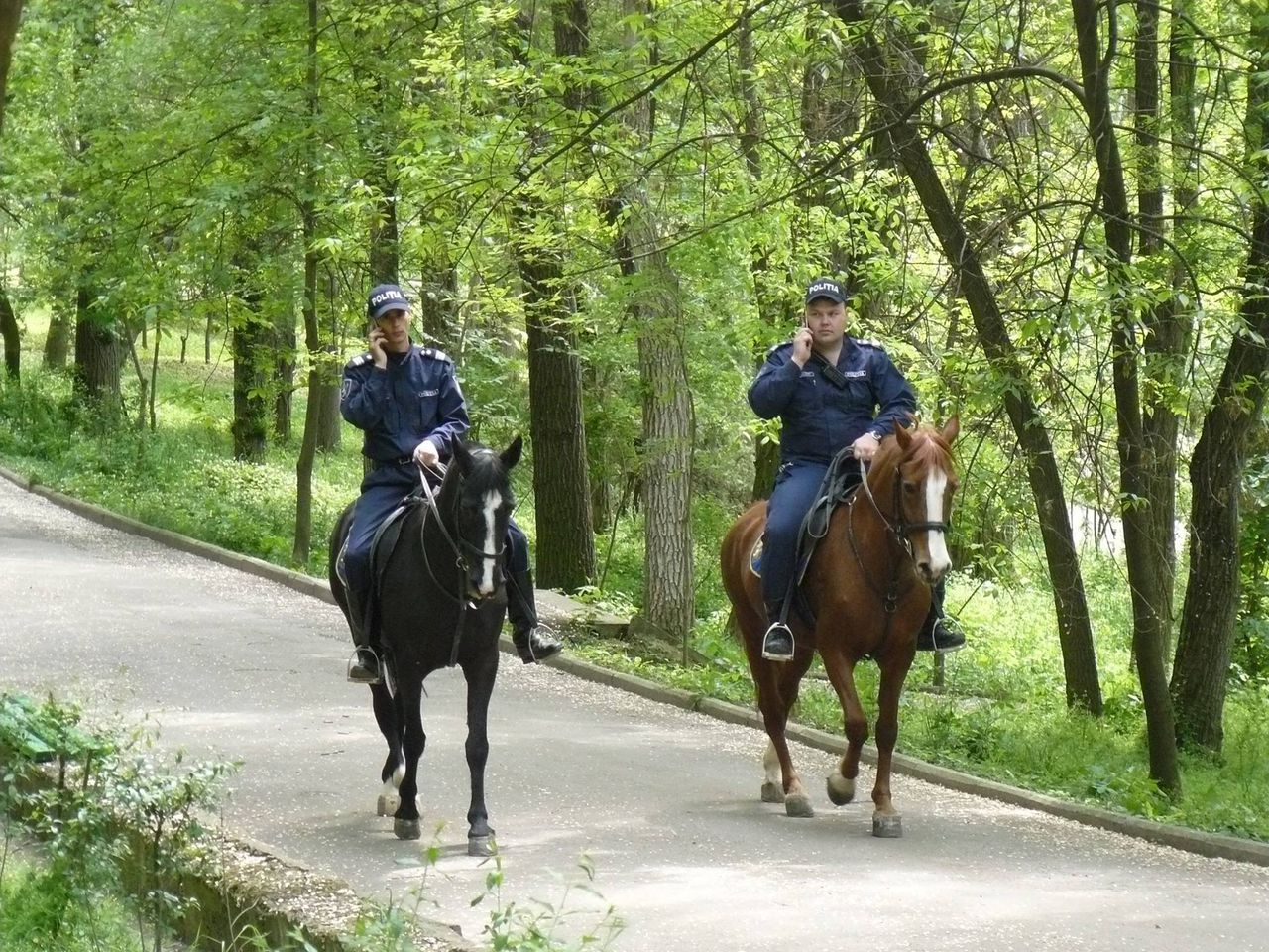 Poliţiştii patrulează călare prin Capitală