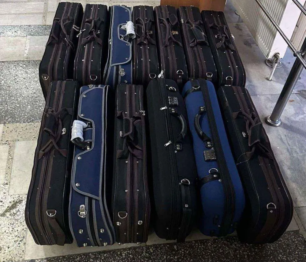 На КПП в Леушенах нашли 4 скрипки: представляют культурную ценность
