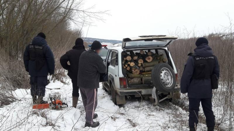 Вблизи КПП были задержаны мужчины, занимавшиеся незаконной вырубкой деревьев
