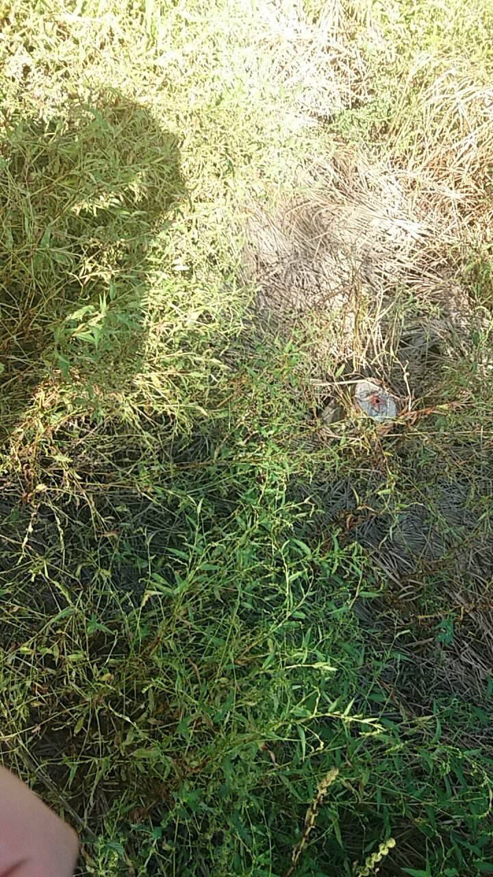 Полиция ищет родственников девушки, обнаруженной на Рышкановке