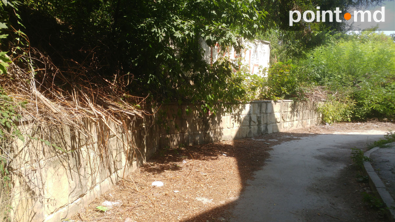 В Долине роз по-прежнему не убраны ветки и полно мусора
