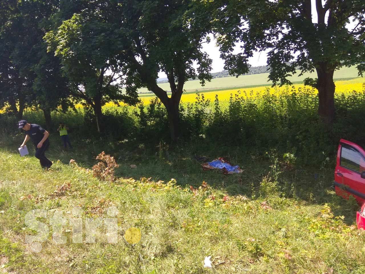 В ДТП в Сынжерей погибли 2 человека и пострадал ребенок