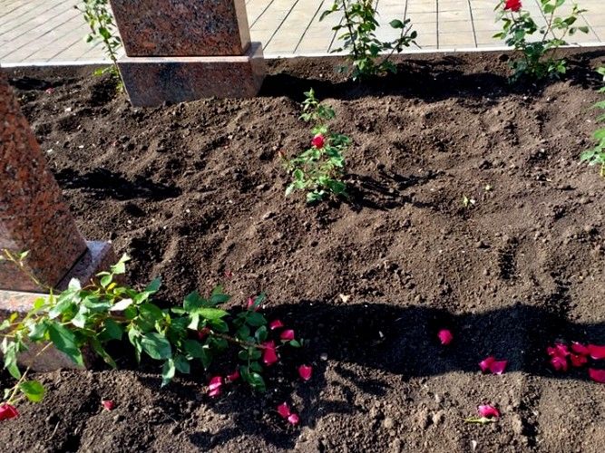 На Аллее славы в Комрате неизвестные сломали памятник