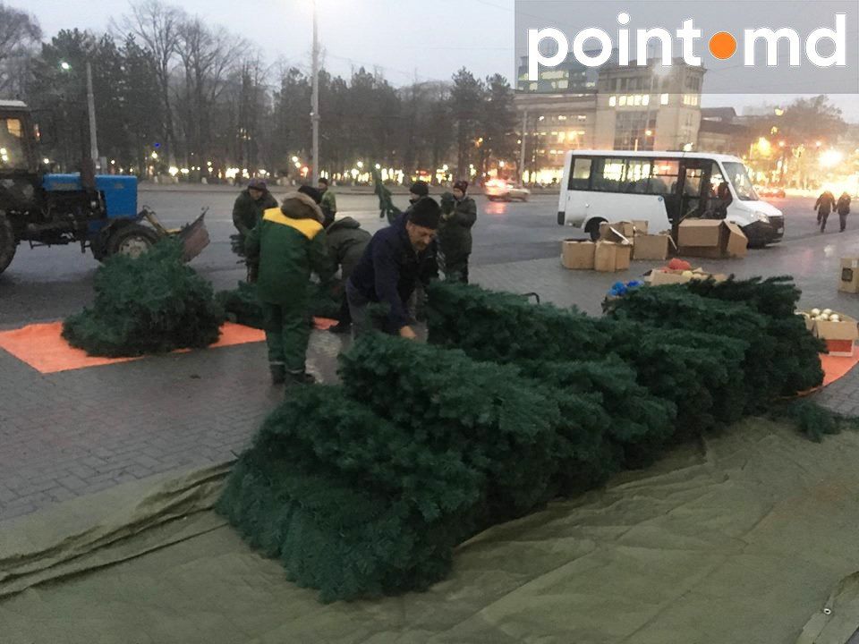 Елку в центре Кишинева начали украшать