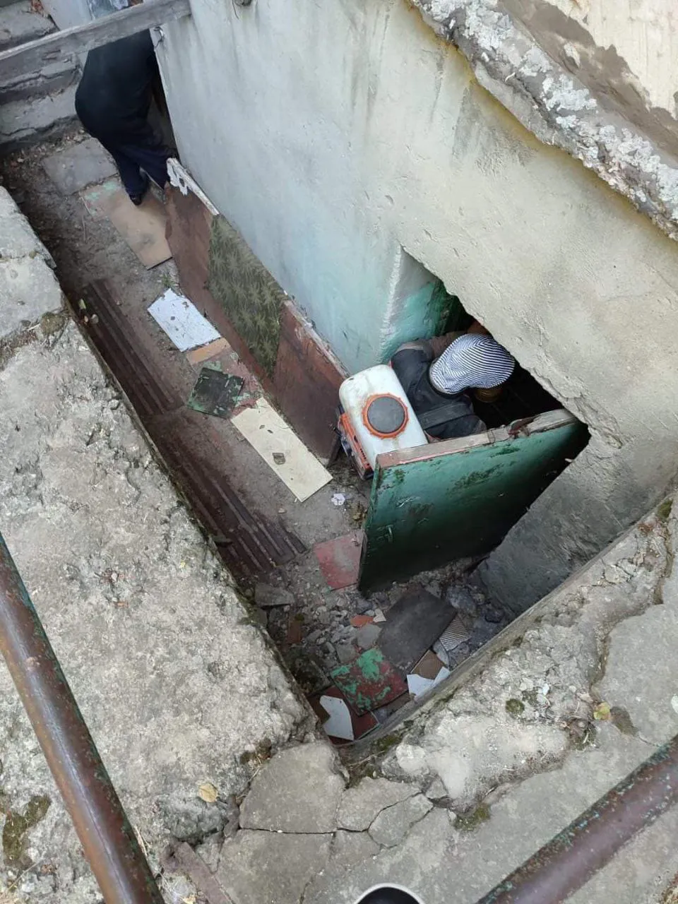 В столичных подвалах и помещениях для сбора мусора начата дезинсекция и дератизация