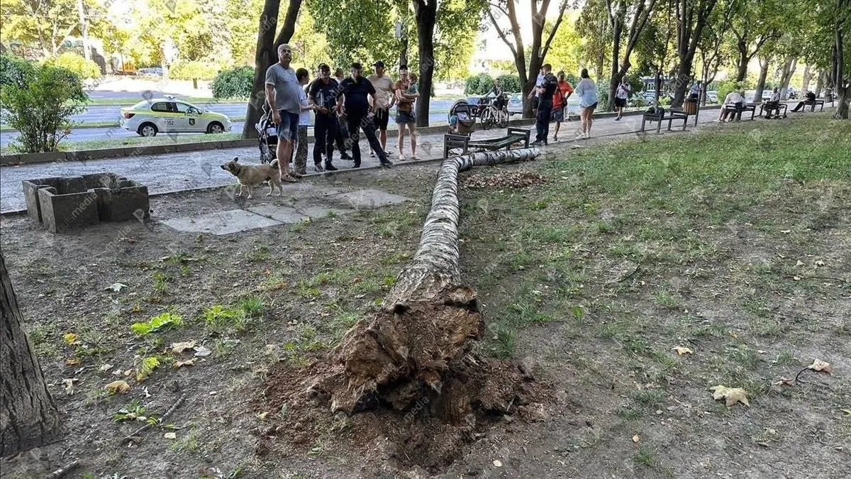 В Кишиневе дерево упало на скамейку, на которой сидела мать с ребенком