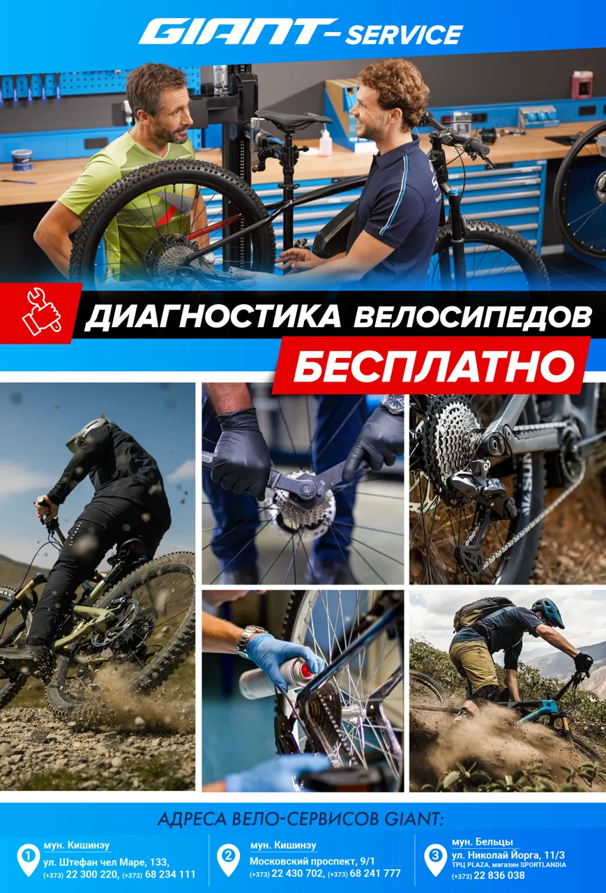 Сервис Giant: Бесплатная диагностика велосипедов