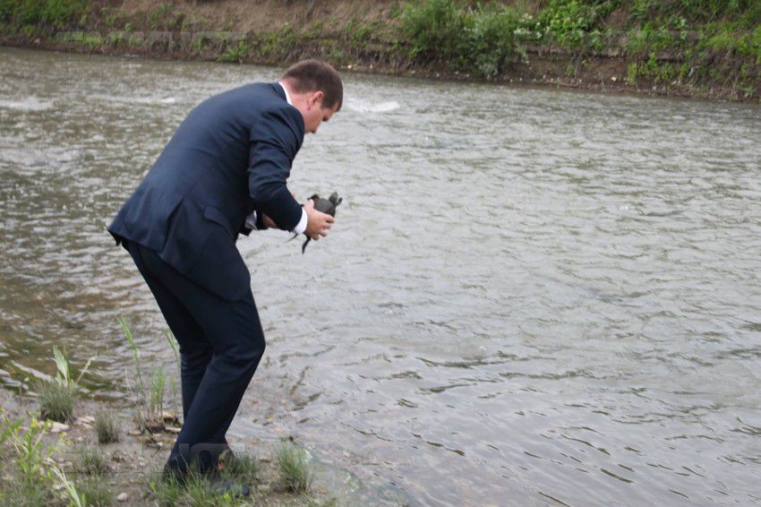 Мунтяну дал кличку найденной черепахе и отпустил ее в воду