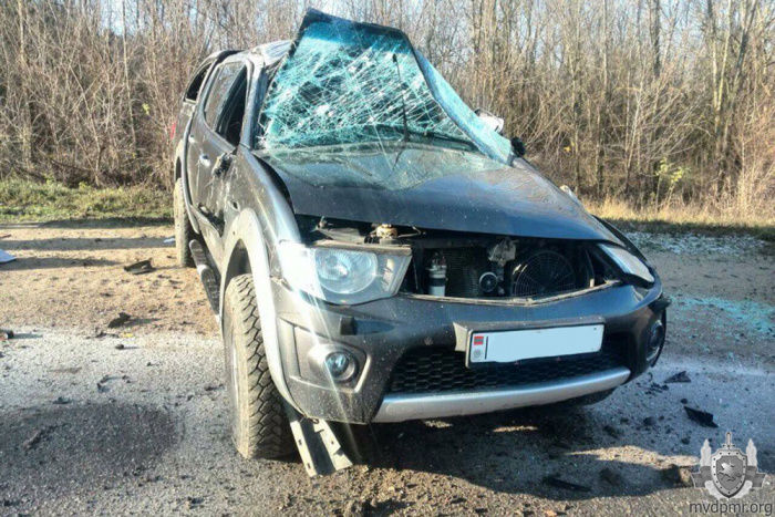 В Приднестровье кабан стал причиной ДТП