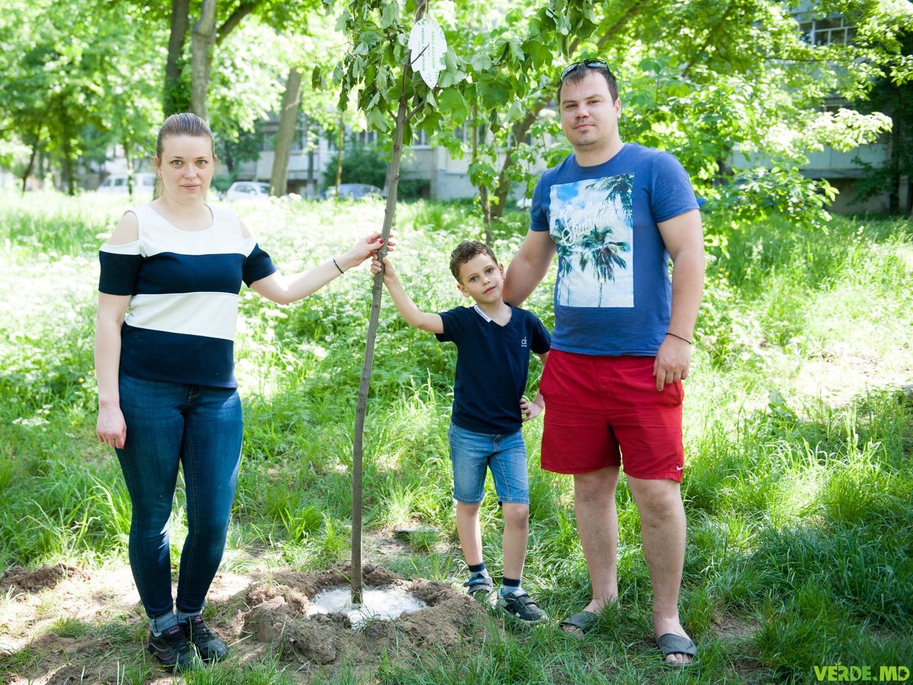 Verde.md: Еще 10 деревьев появились в парке “Алунелул”