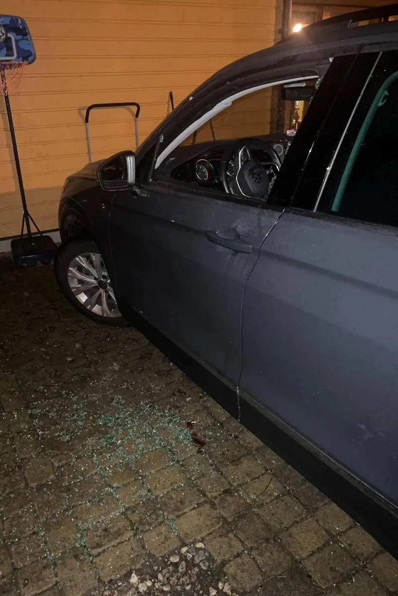 В Вильнюсе напали с молотком на соратника Навального Леонида Волкова