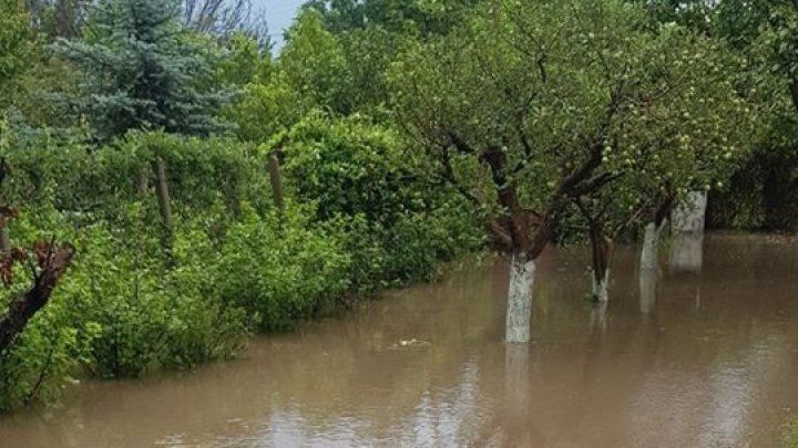 В Вадул-луй-Водэ многие хозяйства затоплены