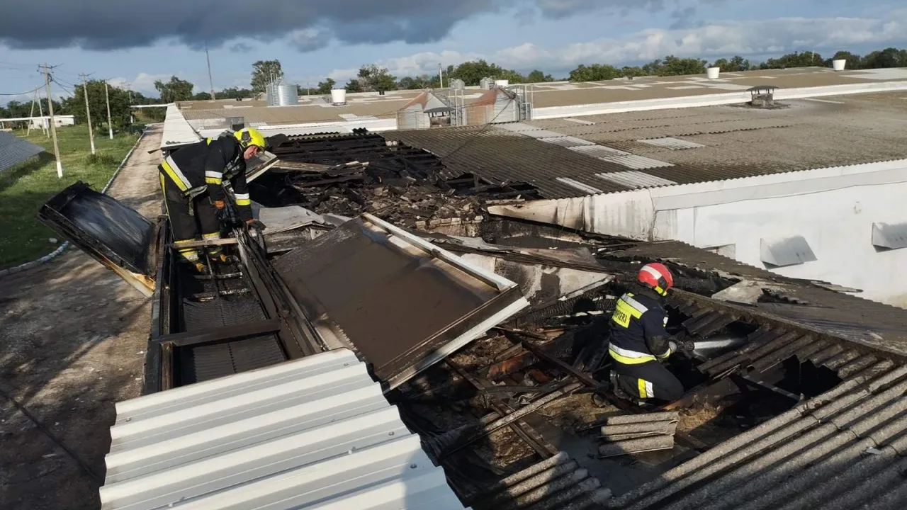 Incendiu la o fabrică de păsări din Edineț. Pompierii au salvat 36.000 de găini