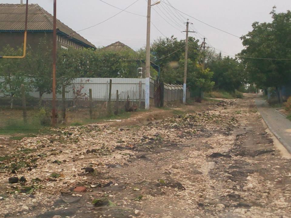 В Гагаузии сильный ветер повалил деревья и снес крыши домов
