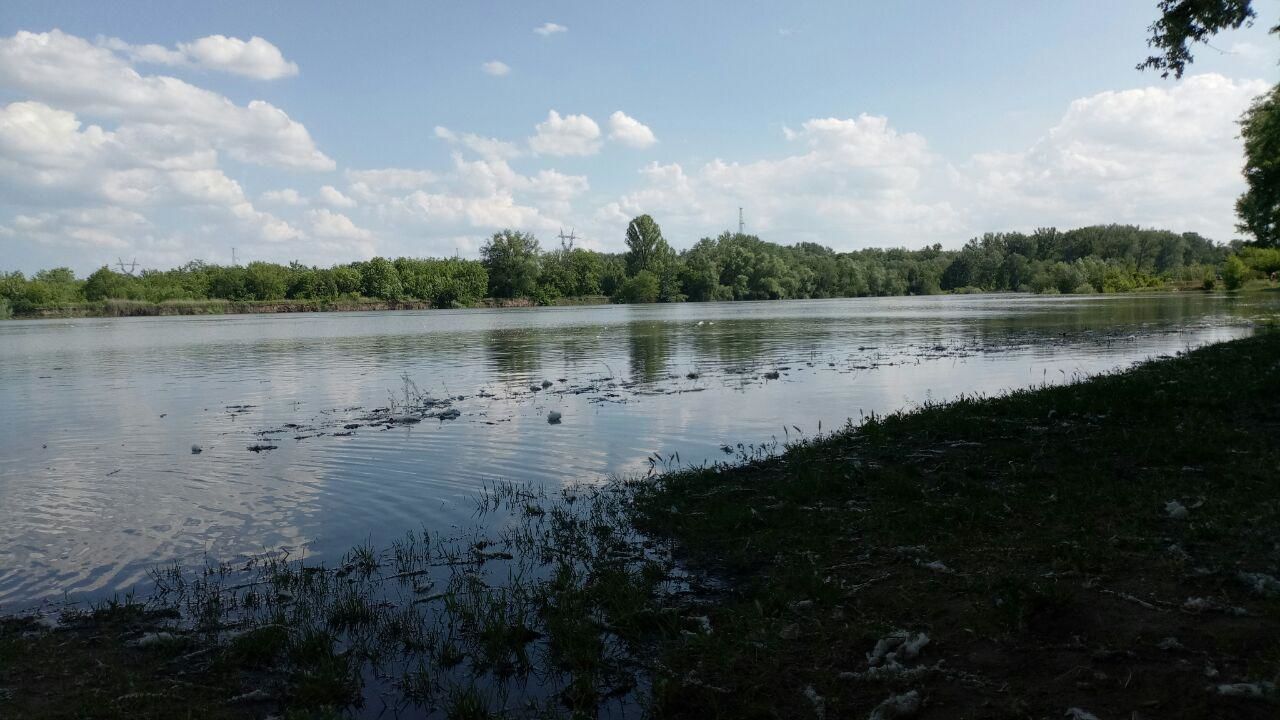 Высокий уровень воды в Днестре сохранится в течение недели