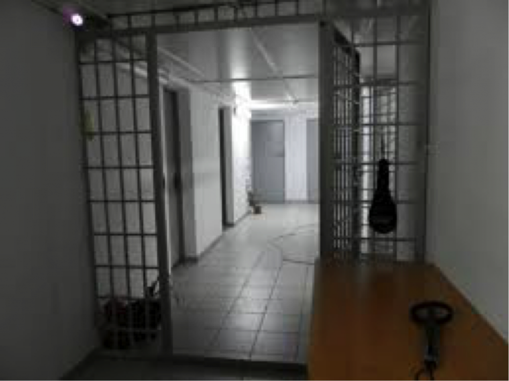 Центр по борьбе с коррупцией борется за сохранение изоляторов