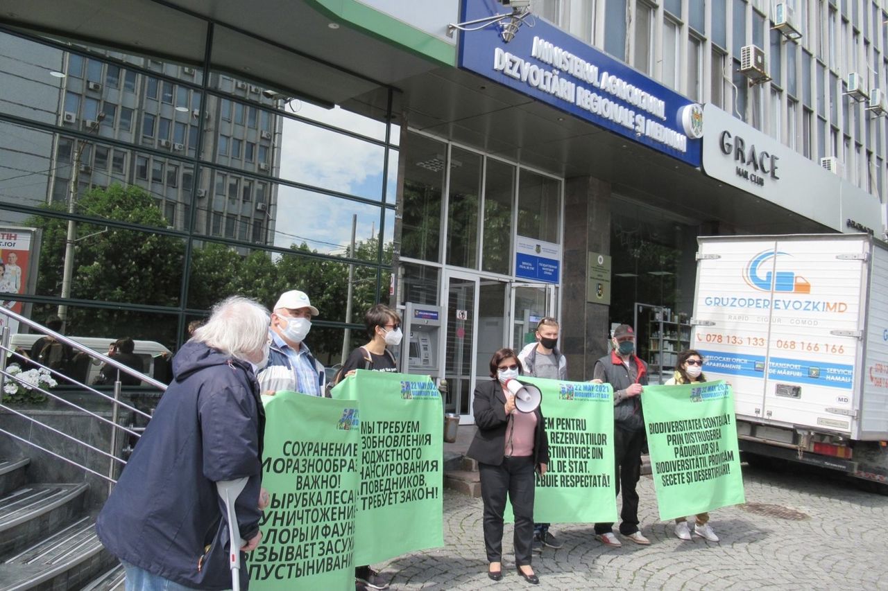 В столице прошел протест против отсутствия финансирования заповедников