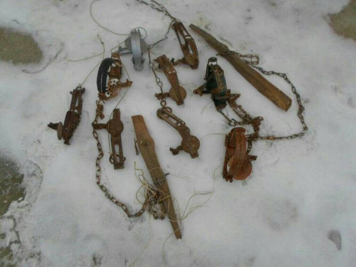 Un braconier din Leova, prins în flagrant de inspectorii de mediu