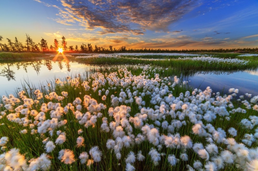 national geographic, фотосессия