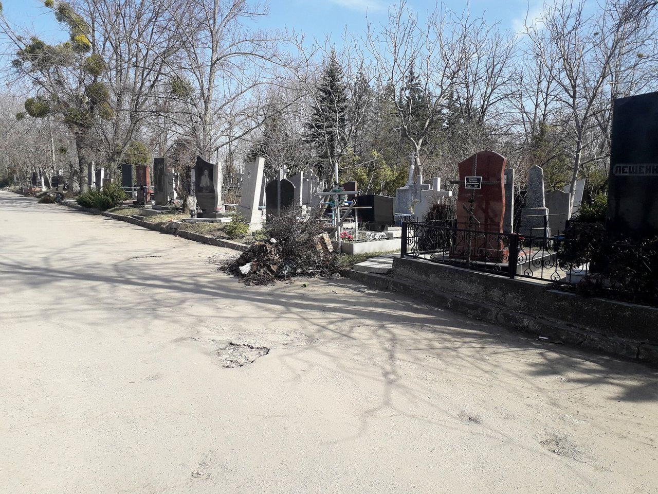 Сильвия Раду выдвинула ультиматум Комбинату ритуальных услуг