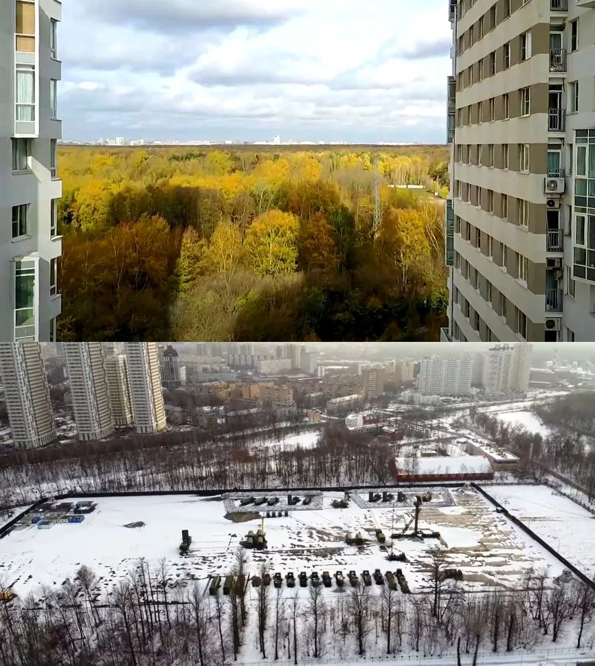 The Insider: Для размещения комплексов ПВО в Москве вырубают леса