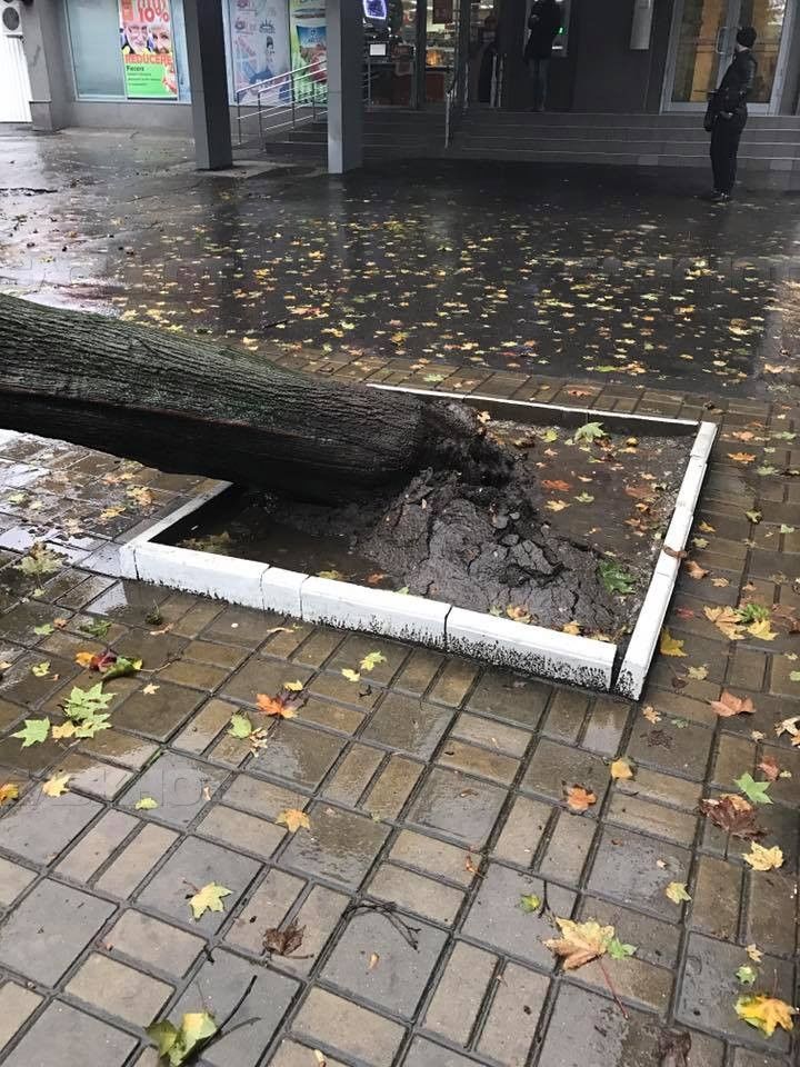 Непогода в Кишиневе: Албишоара вновь затоплена, на Колумне упало дерево