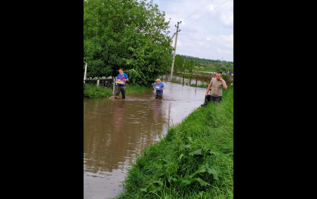 Последствия проливных дождей: дачный посёлок под Бельцами затопило