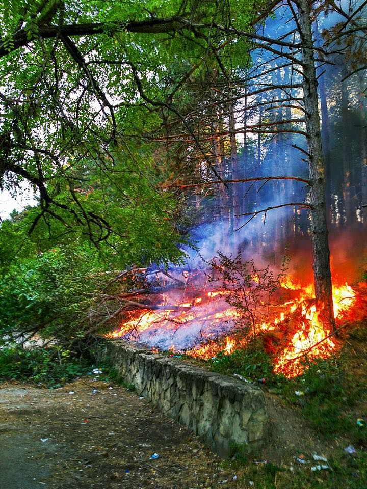 В столичном парке "Валя Морилор" произошел пожар