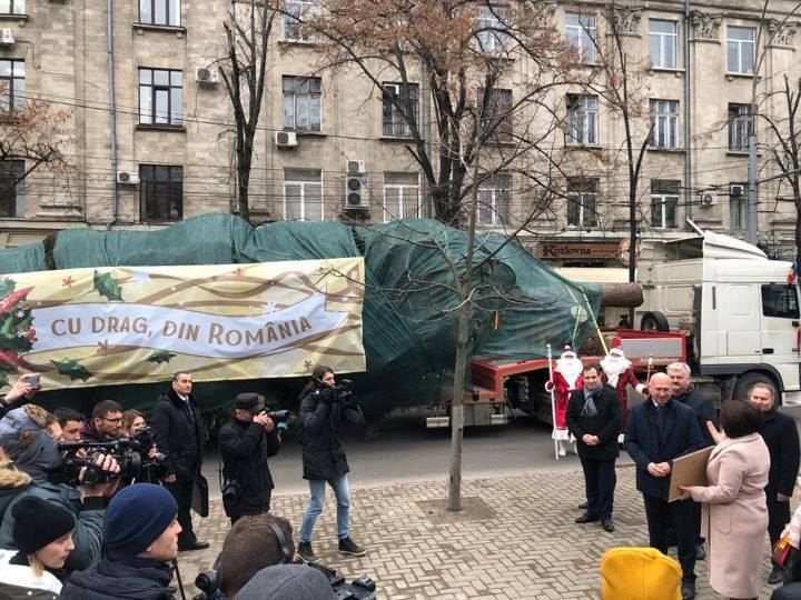 В молдавскую столицу привезли рождественскую елку из Румынии