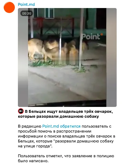 В Бельцах ищут владельцев овчарок, разорвавших домашнюю собаку