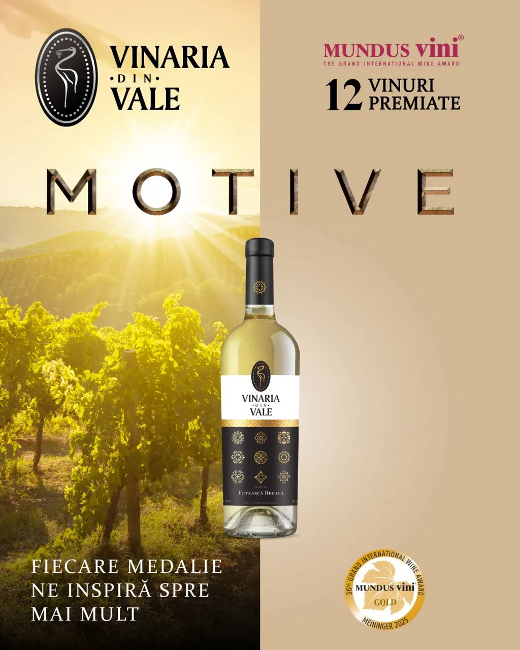 Vinăria din Vale: 12 medalii, 12 vinuri premiate - o nouă confirmare a excelenței
