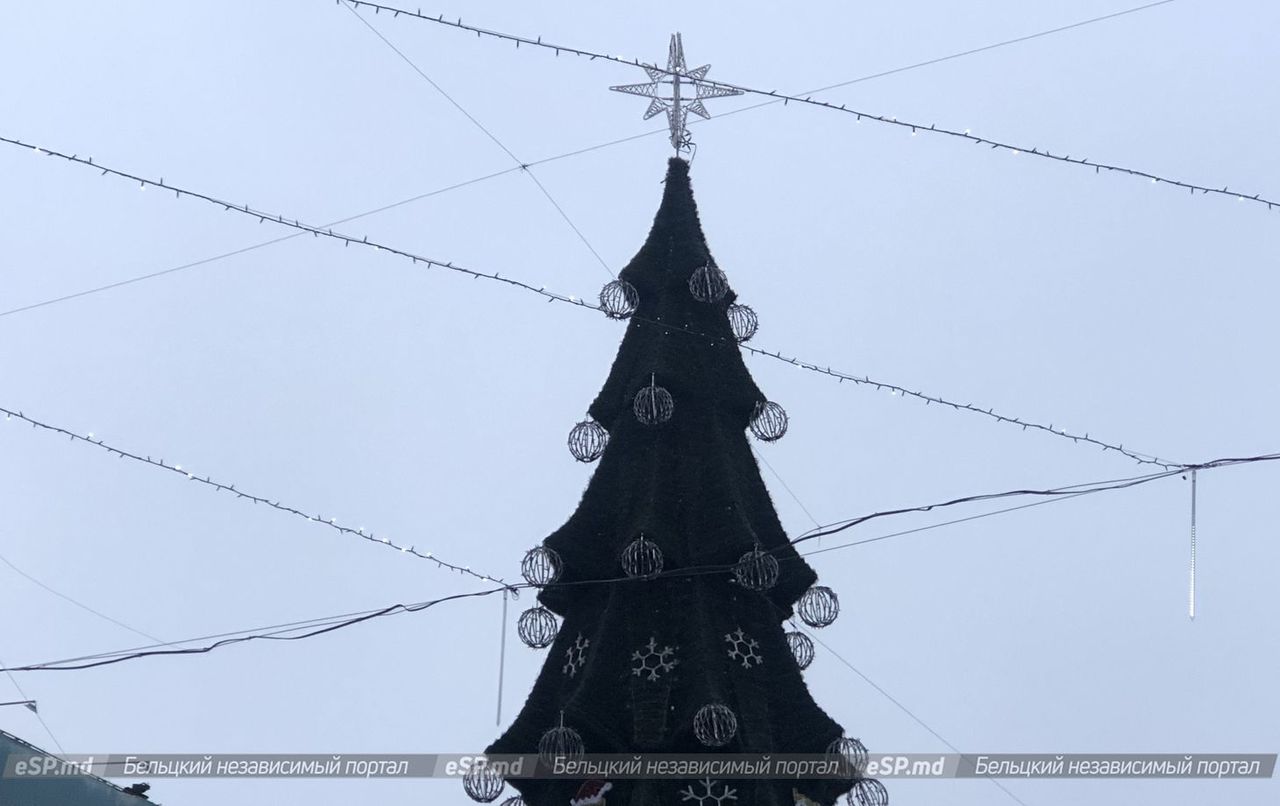 В Бельцах установили новогоднюю ёлку