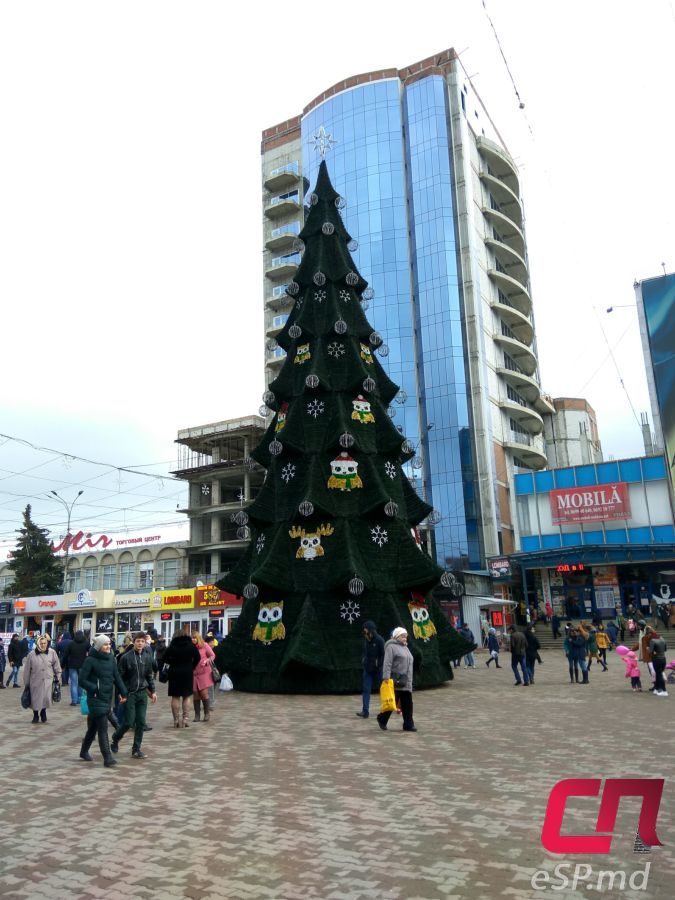 Главную новогоднюю елку Бельц установили на площади