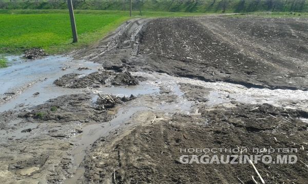 Ущерб от снегопада в двух районах Гагаузии превысил 46 миллионов леев
