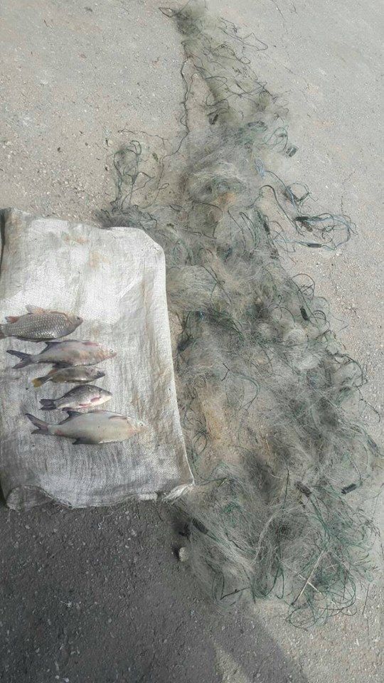 Пограничники оштрафовали 8 рыбаков, нарушивших запрет на ловлю рыбы