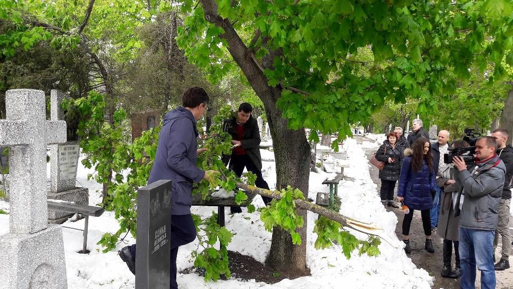 Дорин Киртоакэ рассказал о ситуации на кладбищах столицы