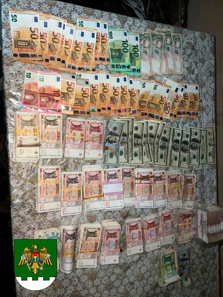 Задержан гражданин Молдовы, помогавший нелегалам из Украины пересечь границу
