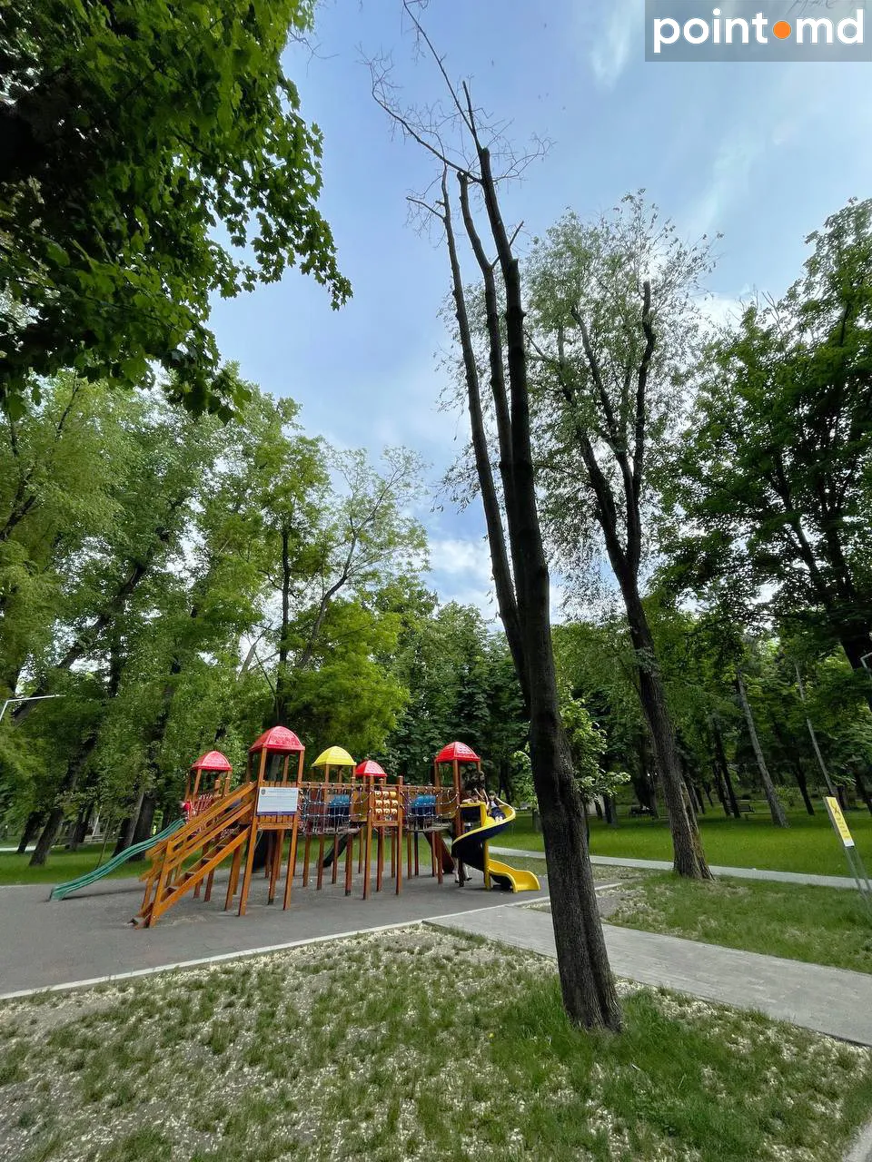В парке "Алунелул" сухое дерево до сих пор нависает над детской площадкой